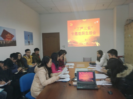 “三严三实”专题组织生活会