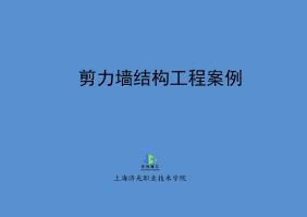 剪力墙结构工程案例